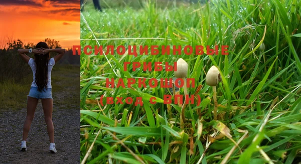mdma Дмитров