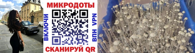 Купить закладки  Ермолино  Галлюциногенные грибы мицелий 